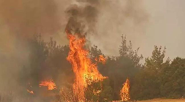TÜRKİYE'NİN DÖRT BİR YANI ALEVLERE TESLİM OLDU
