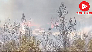 ALEVER YENİDEN YÜKSELDİ!