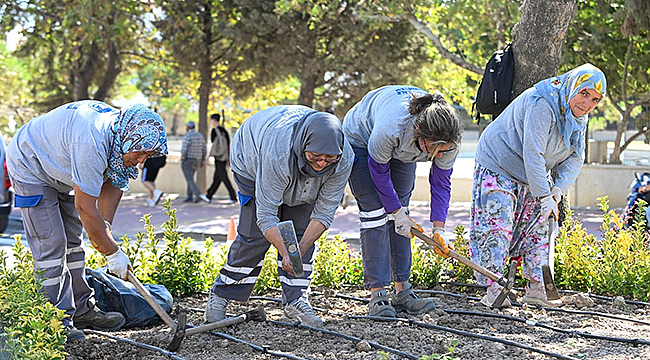 BARIŞ CADDESİ'NDE PEYZAJ ÇALIŞMALARI GERÇEKLEŞTİRİLDİ