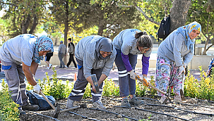 BARIŞ CADDESİ'NDE PEYZAJ ÇALIŞMALARI GERÇEKLEŞTİRİLDİ