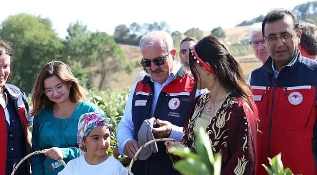 ÇAN'DA ARONYA HASADI BAŞLADI