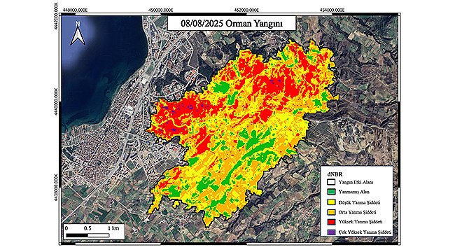 ÇANAKKALE ORMAN YANGINI UYDU ANALİZ RAPORU