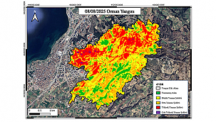 ÇANAKKALE ORMAN YANGINI UYDU ANALİZ RAPORU
