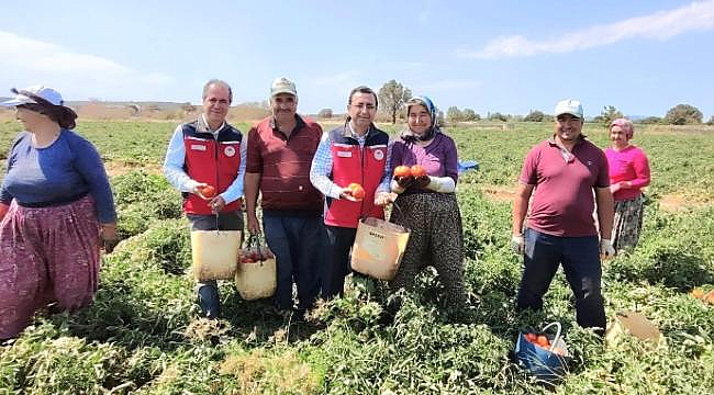 DEMİRHAN'DAN BAYRAMİÇ'TE DOMATES ÜRETİCİLERİNE ZİYARET
