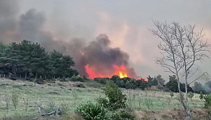 GELİBOLU'DA ALEVLERLE MÜCADELE