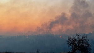 GELİBOLU YANGINI KONTROL ALTINDA