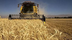 TARIM ÜRÜNLERİ ÜRETİCİ FİYAT ENDEKSİ TEMMUZ'DA AYLIK BAZDA GERİLEDİ