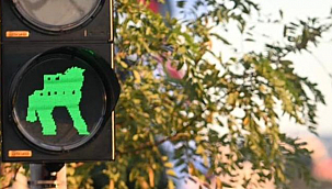 TRAFİK IŞIKLARINA TRUVA DOKUNUŞU