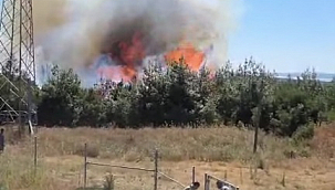 UMURBEYDE YANGIN ÇIKTI