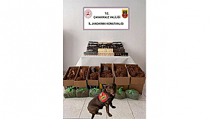 YENİCE'DE KAÇAK TÜTÜN OPERASYONU!