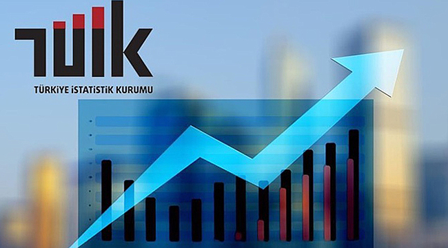 YILLIK SANAYİ VE HİZMET İSTATİSTİKLERİ AÇIKLANDI
