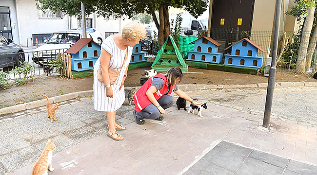 KEDİ EVİNİN TAŞINMASINA İLİŞKİN BİLGİLENDİRME
