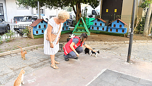 KEDİ EVİNİN TAŞINMASINA İLİŞKİN BİLGİLENDİRME