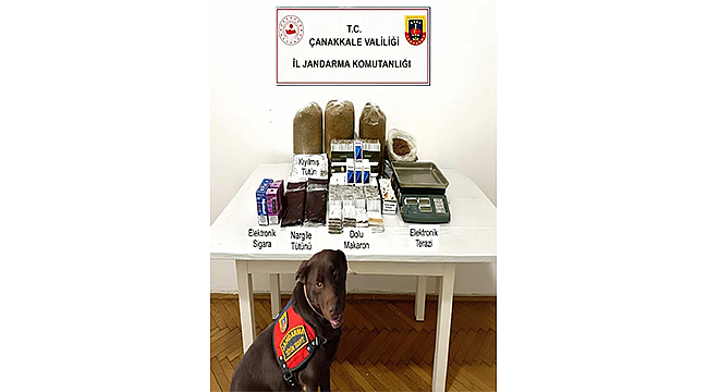 LAPSEKİ'DE KAÇAKÇILIK OPERASYONU
