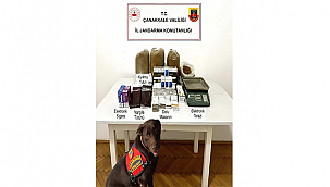 LAPSEKİ'DE KAÇAKÇILIK OPERASYONU