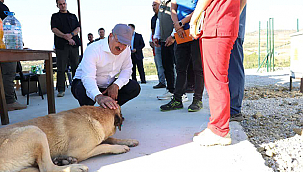 SAHİPSİZ HAYVANLAR İÇİN BAKIMEVİ VE DOĞAL YAŞAM ALANI ZİYARET EDİLDİ