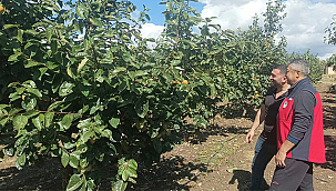 ÇANAKKALE MERKEZDE DOLU YAĞIŞI SONRASI HASAR TESPİT ÇALIŞMALARI BAŞLADI