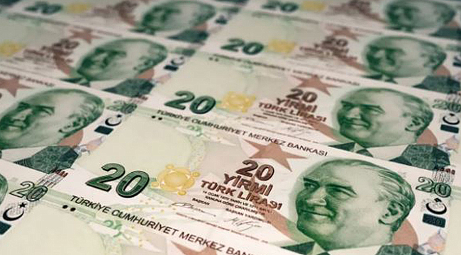 MERKEZ BANKASI, YENİ 20 TL BANKNOTLARI TEDAVÜLE ÇIKARDI