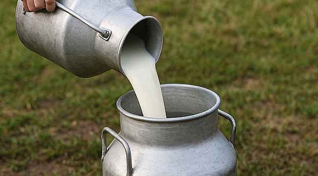 TİCARİ SÜT İŞLETMELERİ AĞUSTOS'TA 933 BİN 234 TON SÜT TOPLADI