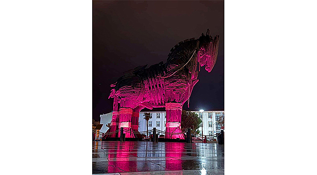 TRUVA ATI PEMBEYE BÜRÜNDÜ