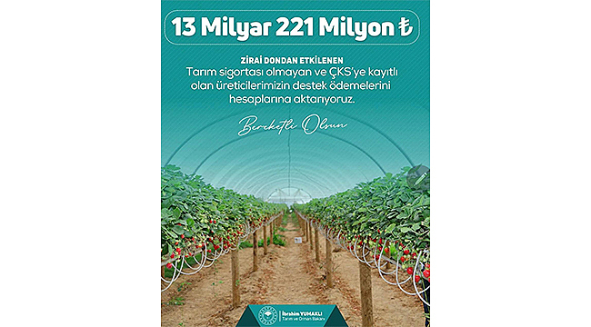 ZİRAİ DON NEDENİYLE HASAR GÖREN ÜRETİCİLERE DESTEKLEME ÖDEMESİ BAŞLADI