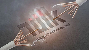 HİZMET VE TİCARET SEKTÖRÜNÜN 2024 NİHAİ ENERJİ TÜKETİMİ 501 BİN 104 TERAJUL OLDU