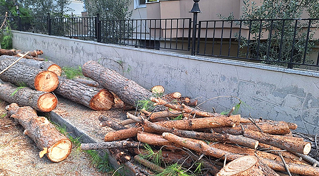 KENT DÜZENİ İÇİN DENETİMLER ARALIKSIZ DEVAM EDİYOR