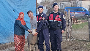 KAYIP HAYVANLAR DRONE DESTEĞİYLE BULUNDU