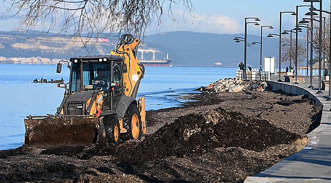 SAHİL KESİMLERİNDE TEMİZLİK ÇALIŞMALARI SÜRÜYOR