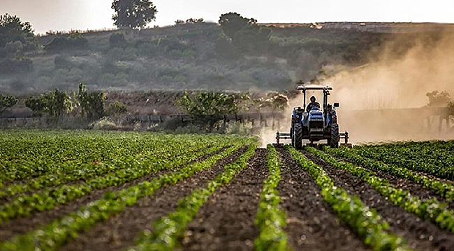 TARIM-ÜFE ARALIKTA YILLIK %36,01 ARTTI
