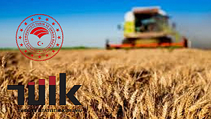 TARIMDA GİRDİ MALİYETLERİ YÜKSELİŞİNİ SÜRDÜRÜYOR