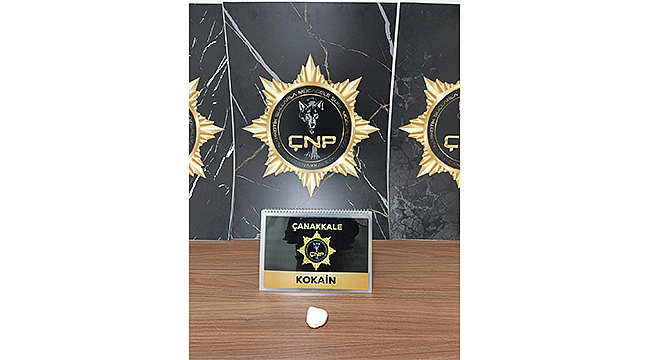 ÇANAKKALE'DE BİR HAFTADA 8 BİN 984 KİŞİ SORGULANDI