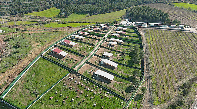 ÇANAKKALE VALİLİĞİ KOORDİNASYONUNDA SAHİPSİZ HAYVAN ÇALIŞMALARI SÜRÜYOR