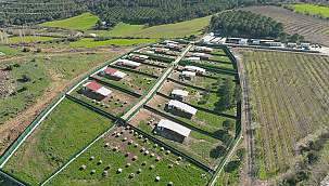 ÇANAKKALE VALİLİĞİ KOORDİNASYONUNDA SAHİPSİZ HAYVAN ÇALIŞMALARI SÜRÜYOR