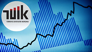 İNŞAAT MALİYETLERİ YILLIK %24,5 ARTTI