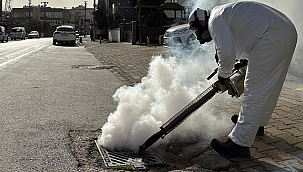 VEKTÖRLERE YÖNELİK ÇALIŞMALAR DEVAM EDİYOR