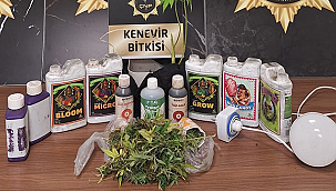 ÇANAKKALE'DE HUZUR UYGULAMALARI: 25 ARANAN ŞAHIS YAKALANDI