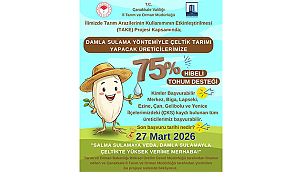 ÇELTİK ÜRETİCİSİNE %75 HİBELİ TOHUM DESTEĞİ