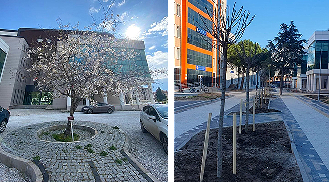 ÇOMÜ'DE TÜRK-JAPON DOSTLUĞUNU YAŞATACAK "SAKURA YOLU" PROJESİ HAYATA GEÇİYOR