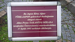 ÇOMÜ'DE TÜRK-JAPON DOSTLUĞUNU YAŞATACAK "SAKURA YOLU" PROJESİ HAYATA GEÇİYOR