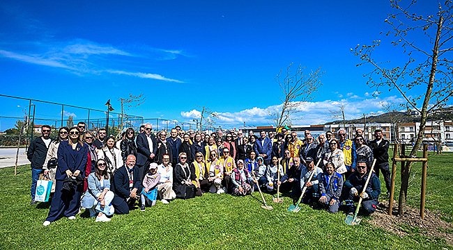 118 YETİŞKİN AĞAÇ TOPRAKLA BULUŞTU