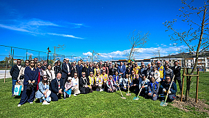 118 YETİŞKİN AĞAÇ TOPRAKLA BULUŞTU