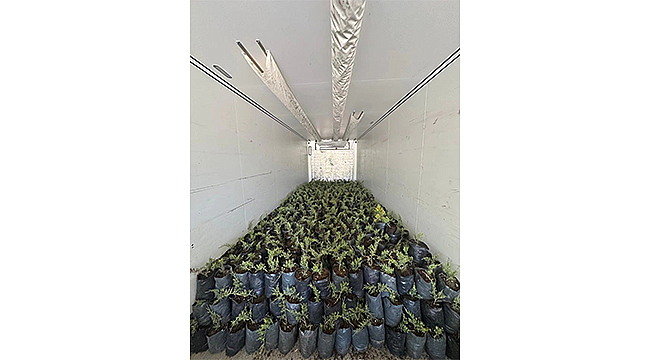 ÇANAKKALE'DEN KARDEŞ ÜLKE AZERBAYCAN'A 8 BİN 410 FİDAN DESTEĞİ