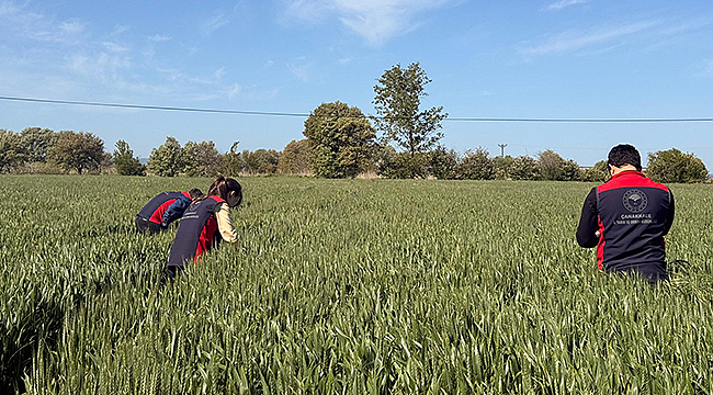 ÇİFTÇİLERE SÜNE UYARISI: İLAÇLAMA İÇİN RESMİ İLAN BEKLENMELİ