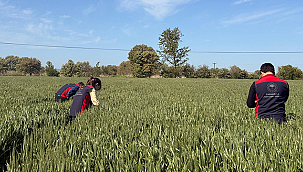 ÇİFTÇİLERE SÜNE UYARISI: İLAÇLAMA İÇİN RESMİ İLAN BEKLENMELİ