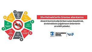 SİVRİSİNEKLE MÜCADELEDE ALINMASI GEREKEN ÖNLEMLER