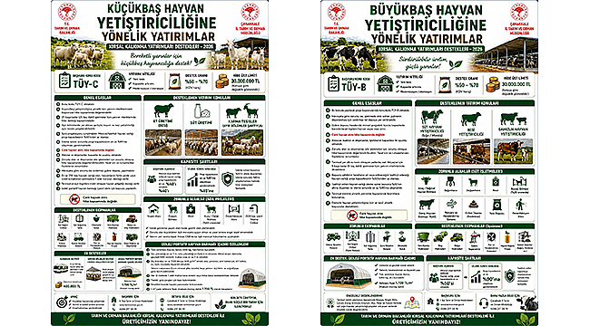 KÜÇÜKBAŞ VE BÜYÜKBAŞ İÇİN HİBE BAŞVURULARI BAŞLADI
