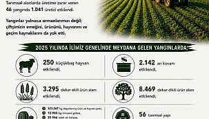 ALEVLER SADECE ORMANLARI DEĞİL, ÇİFTÇİNİN GELECEĞİNİ DE KÜL EDİYOR