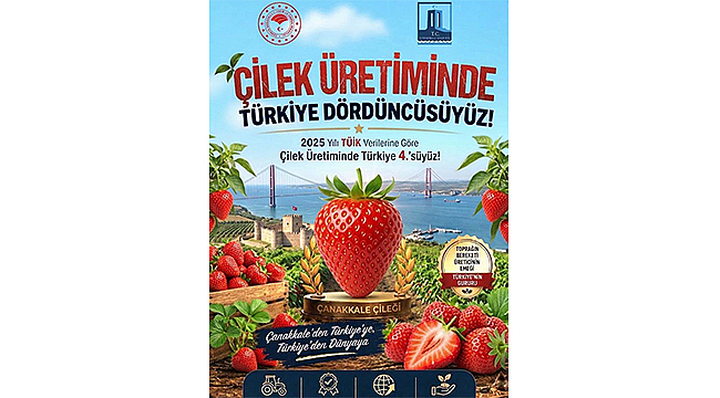 ÇANAKKALE ÇİLEK ÜRETİMİNDE TÜRKİYE DÖRDÜNCÜSÜ