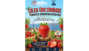 ÇANAKKALE ÇİLEK ÜRETİMİNDE TÜRKİYE DÖRDÜNCÜSÜ